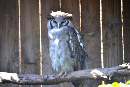 World of Birds Wildlife Sanctuary.